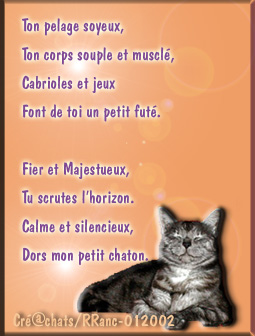 Voici un cadeau que deux filles géniales mon offert.